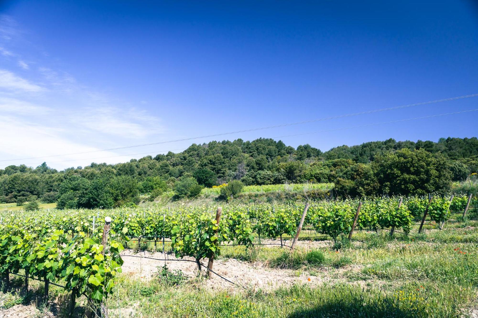 Apartmán Domaine Des Peyre Robion en Luberon Exteriér fotografie