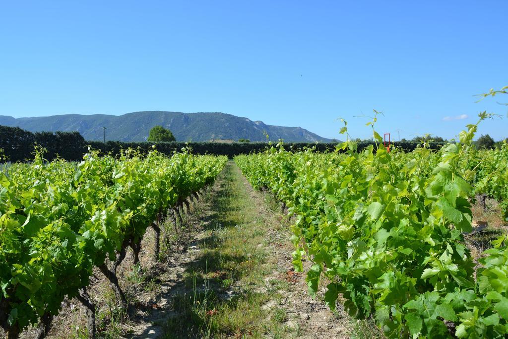Apartmán Domaine Des Peyre Robion en Luberon Exteriér fotografie